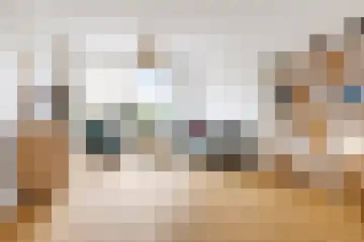 Vogelkersstraat 21 Groningen thumbnail 9