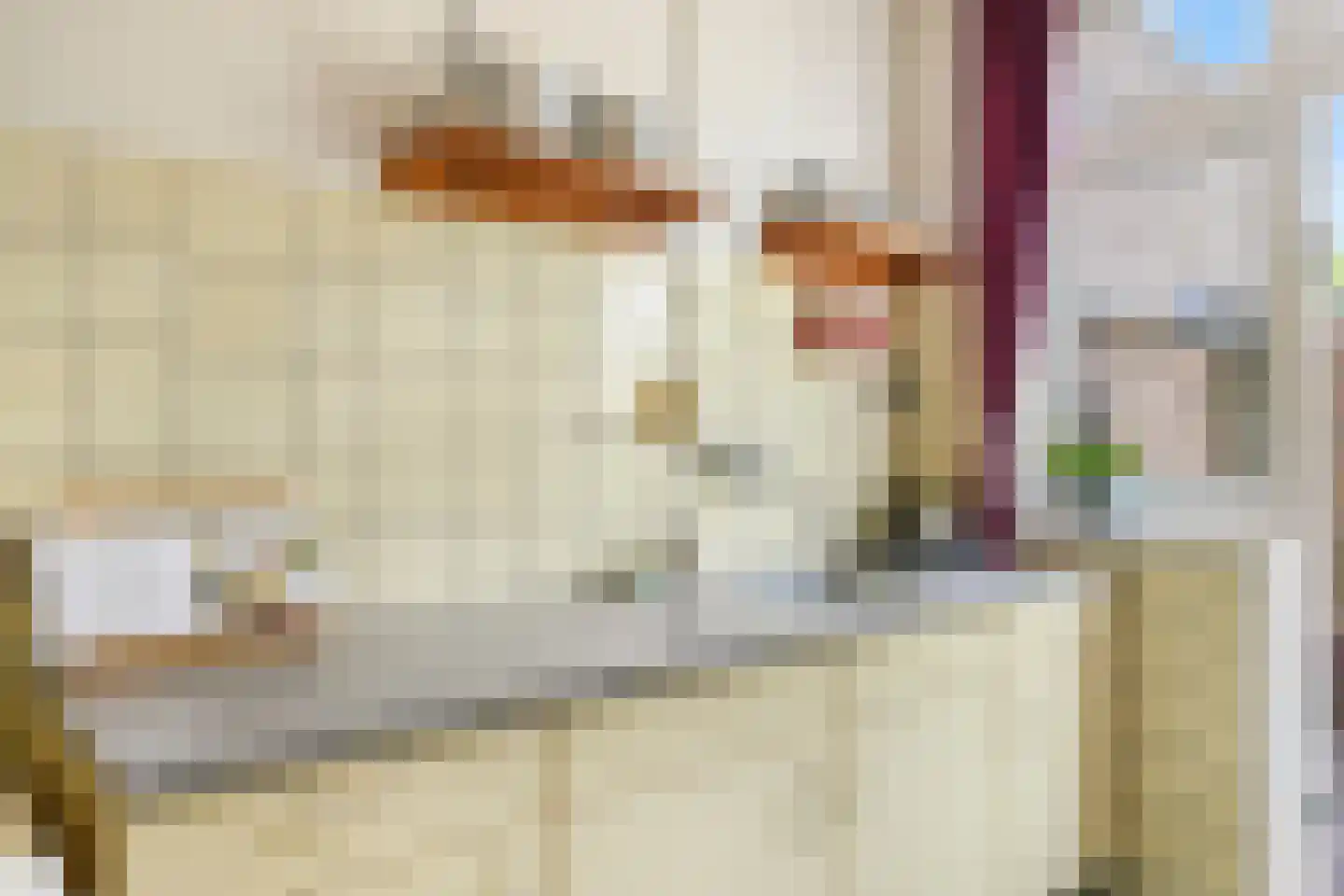 Vogelkersstraat 27 Bussum thumbnail 12