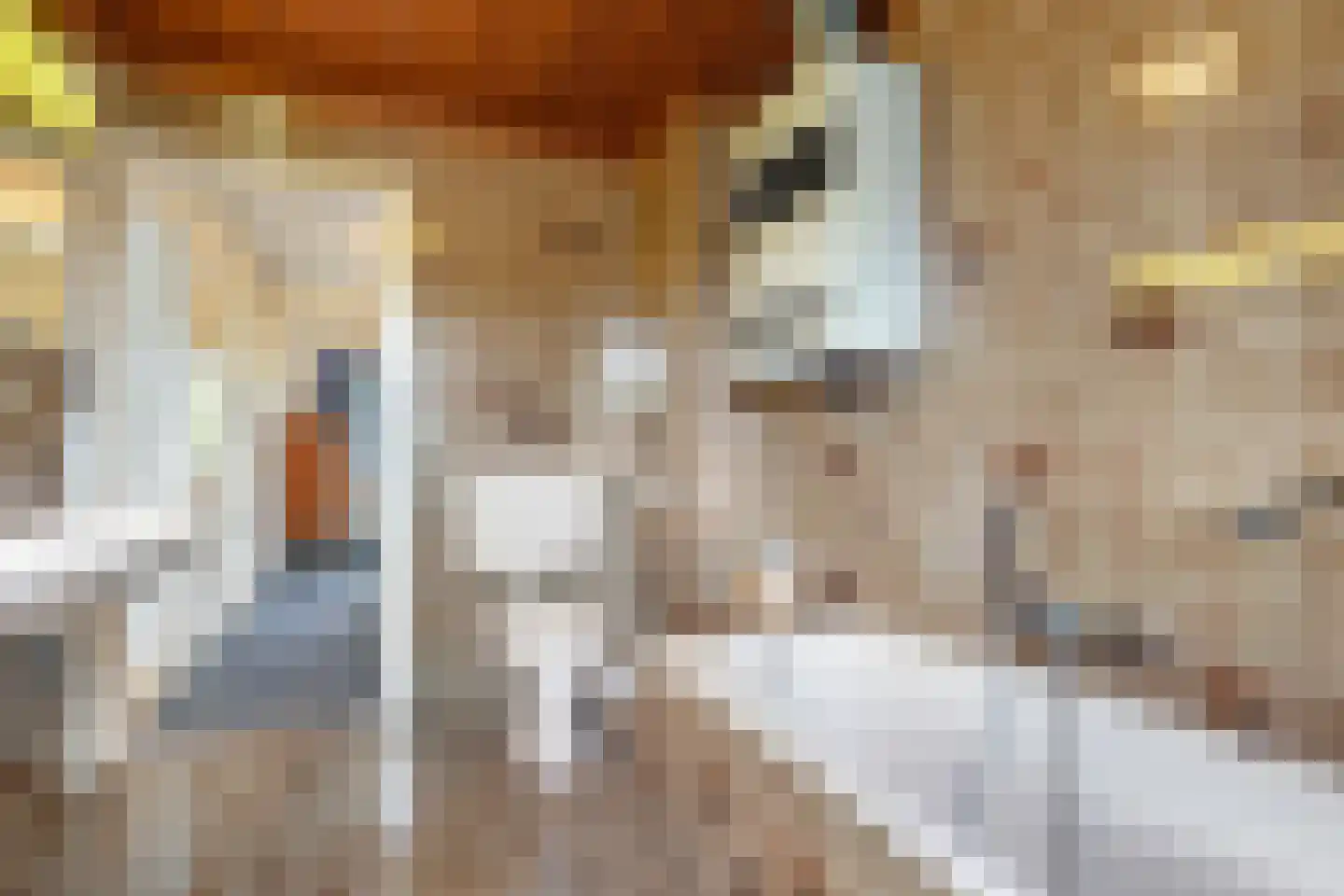 Vogelkersstraat 27 Bussum thumbnail 23