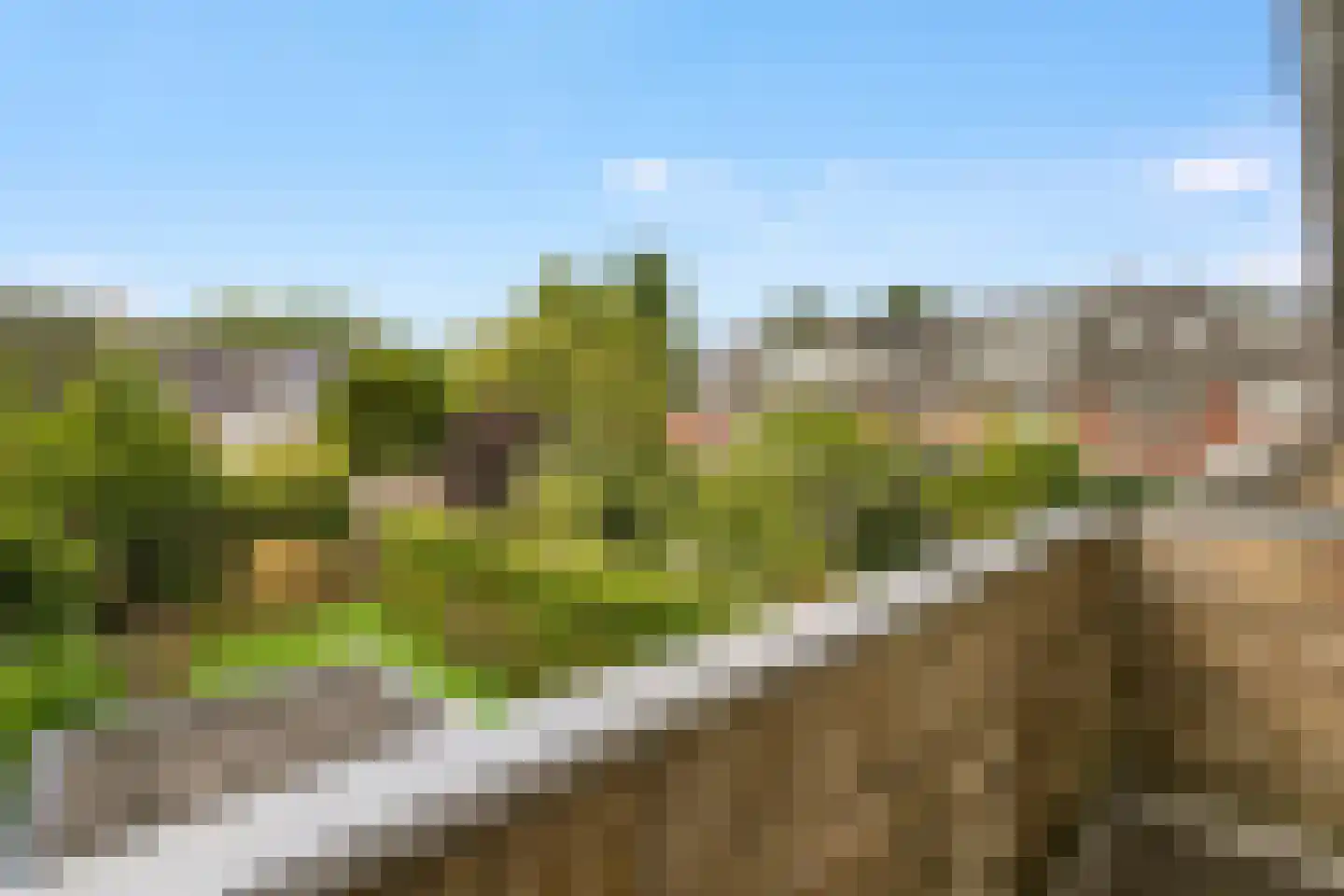 Vogelkersstraat 27 Bussum thumbnail 32