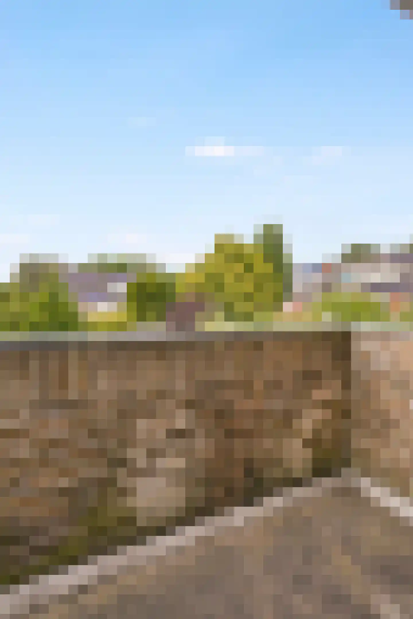 Vogelkersstraat 27 Bussum thumbnail 34