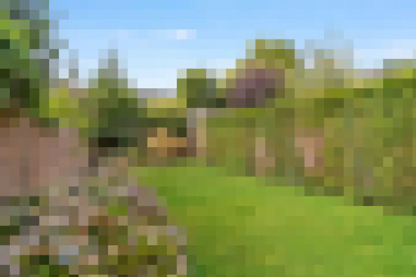 Vogelkersstraat 27 Bussum thumbnail 38