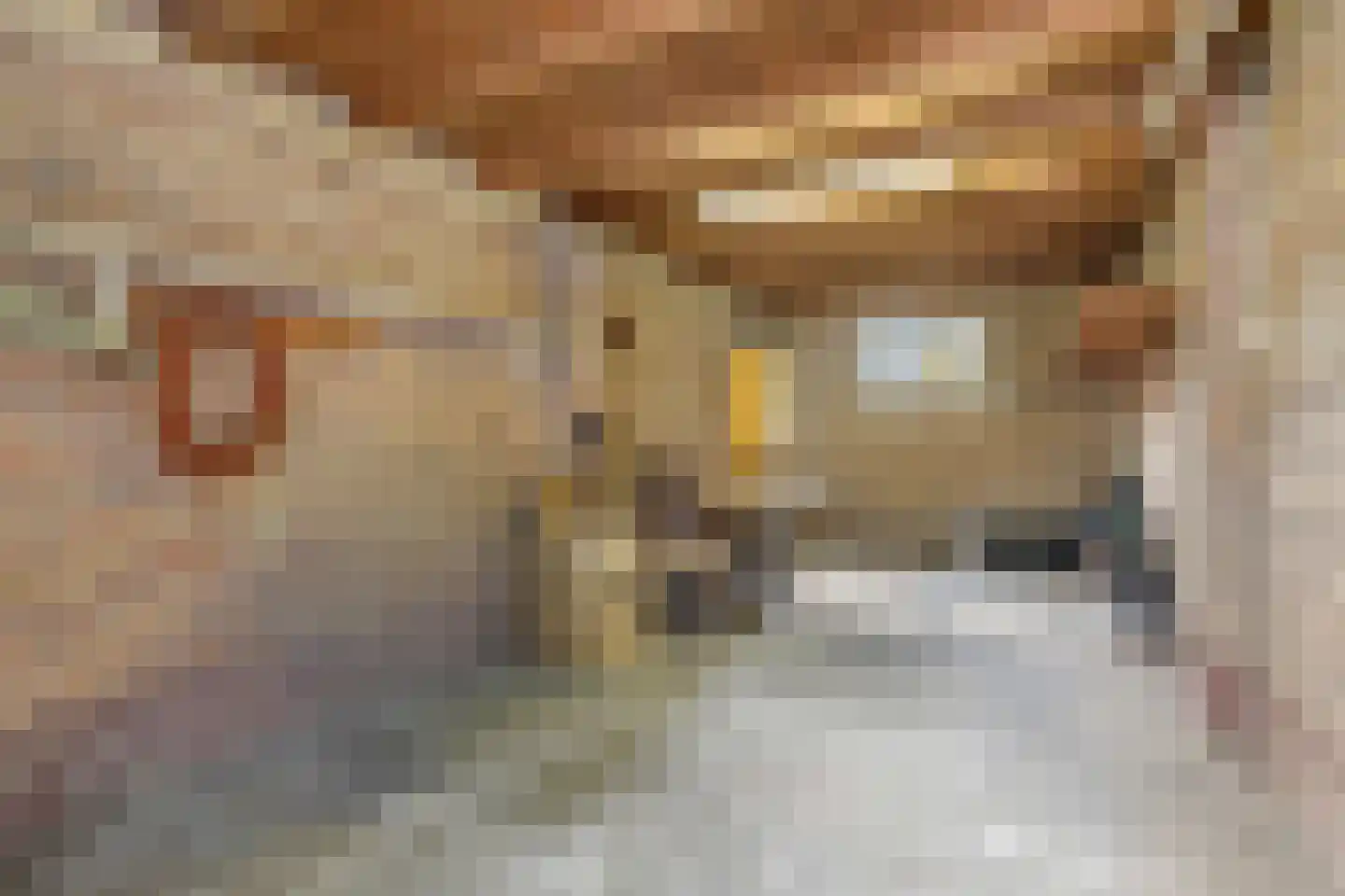 Vogelkersstraat 27 Bussum thumbnail 43