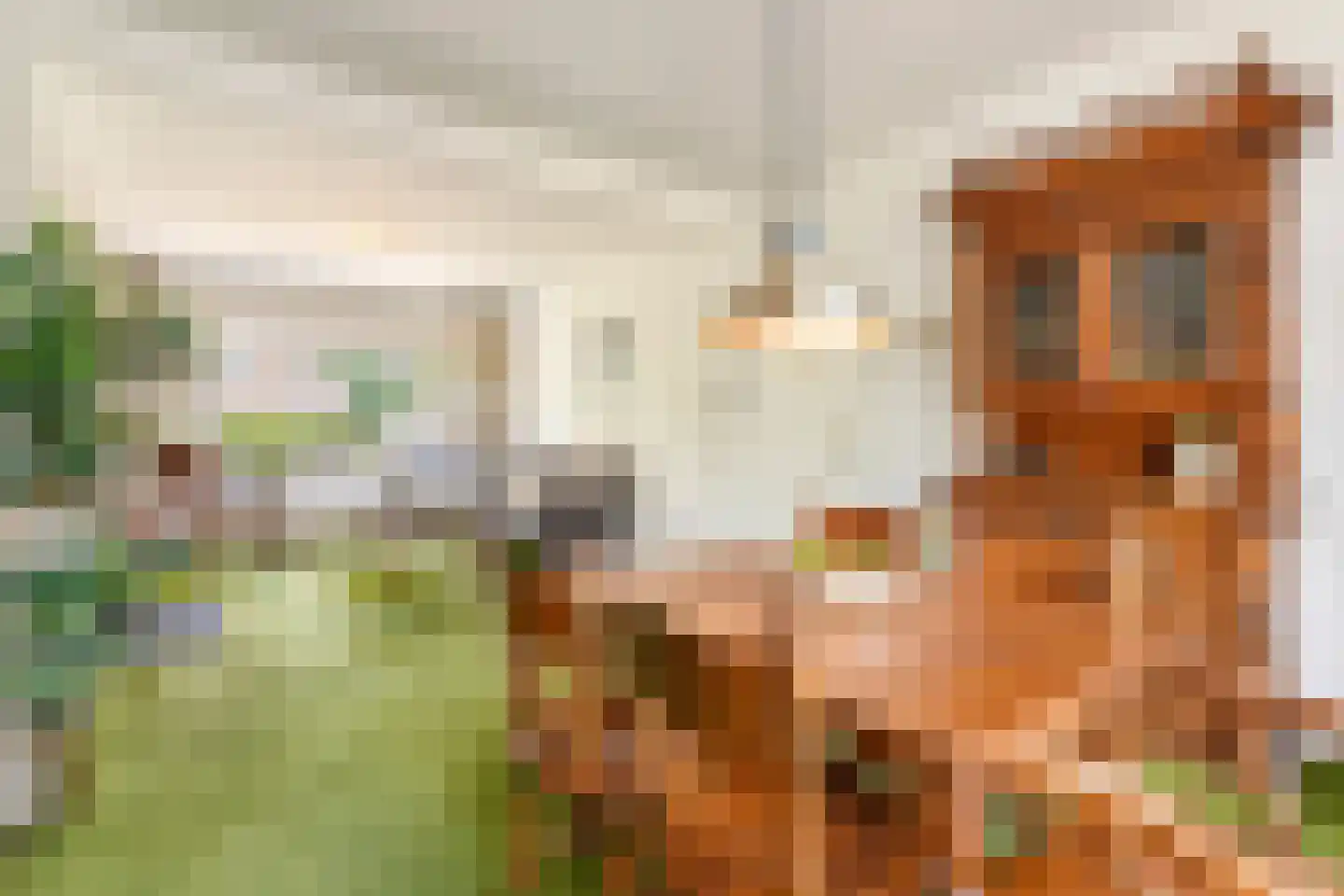 Vogelkersstraat 27 Bussum thumbnail 7