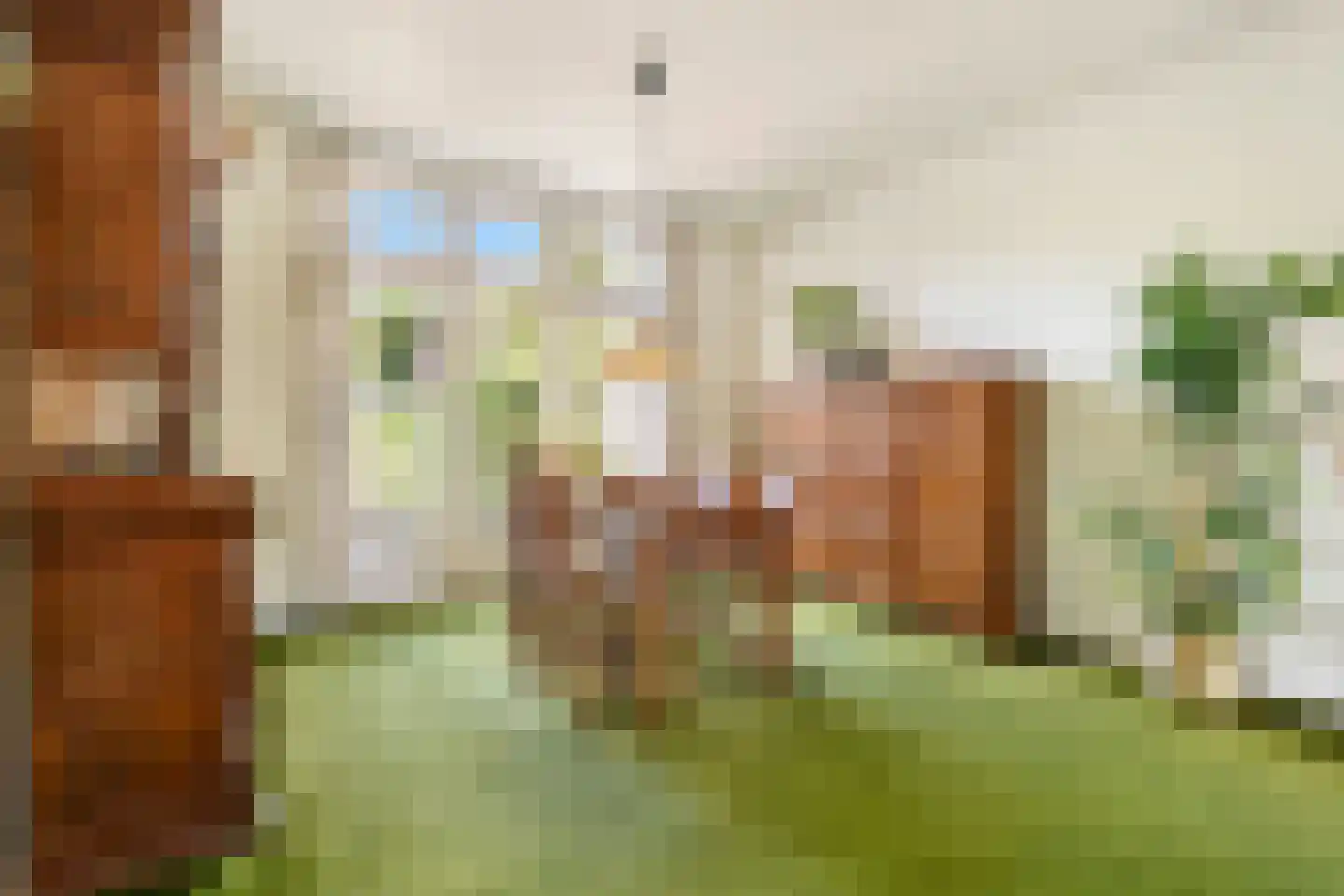 Vogelkersstraat 27 Bussum thumbnail 8