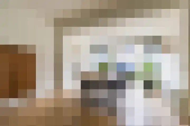 Vogelkersstraat 28 Groningen thumbnail 10