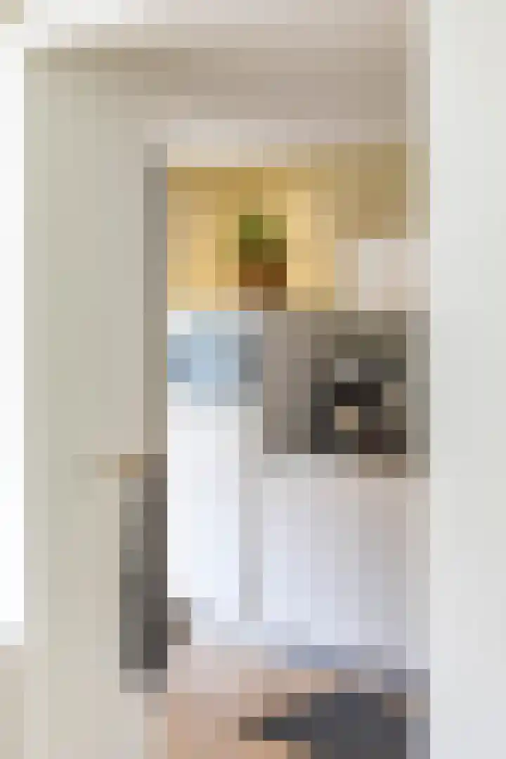 Vogelkersstraat 28 Groningen thumbnail 15