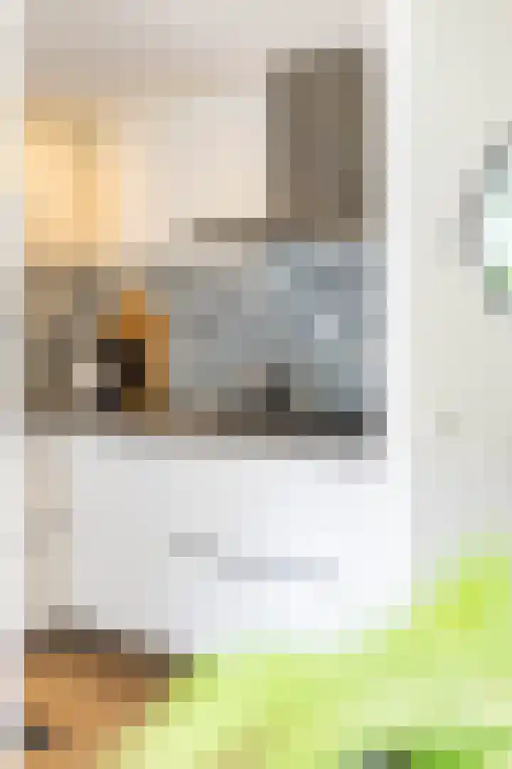 Vogelkersstraat 28 Groningen thumbnail 16