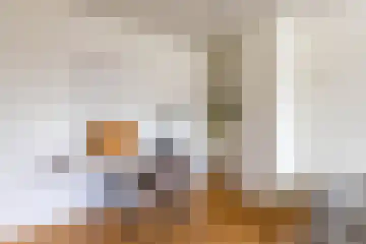 Vogelkersstraat 28 Groningen thumbnail 32