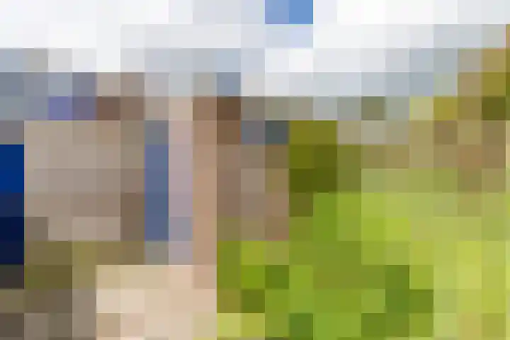 Vogelkersstraat 28 Groningen thumbnail 35