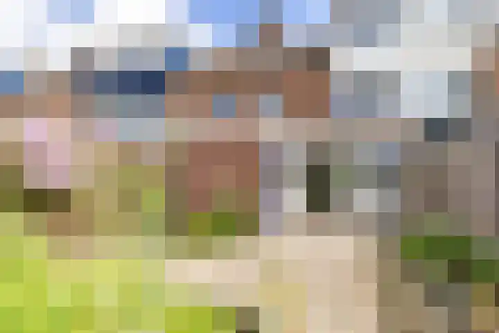 Vogelkersstraat 28 Groningen thumbnail 40