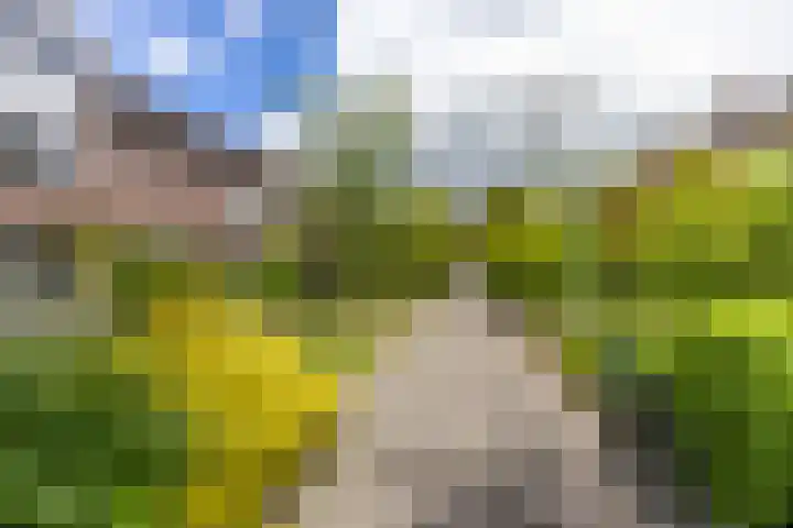 Vogelkersstraat 28 Groningen thumbnail 42
