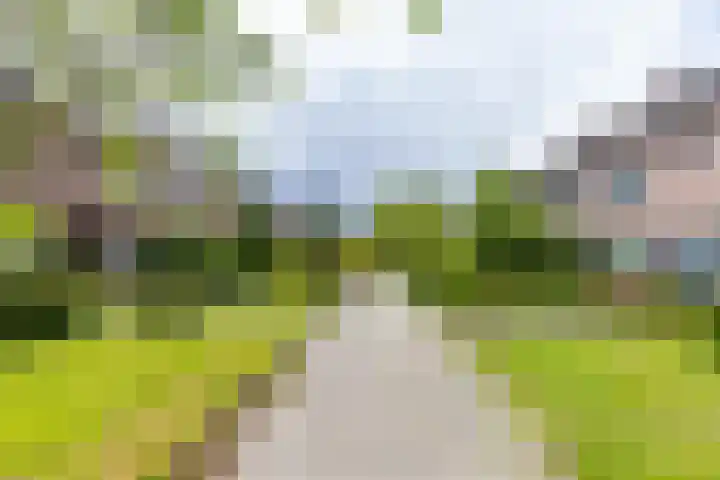 Vogelkersstraat 28 Groningen thumbnail 43