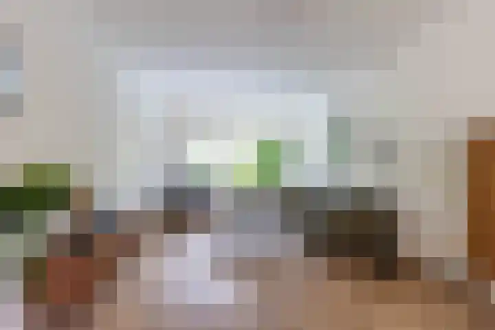 Vogelkersstraat 28 Groningen thumbnail 7