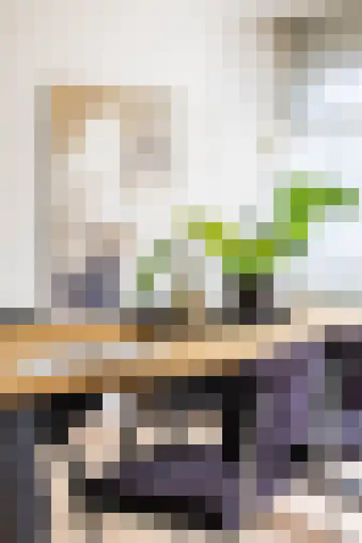 Vogelkersstraat 28 Groningen thumbnail 9