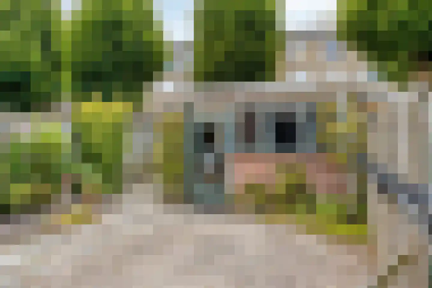 Vogelkersstraat 3 Valkenswaard thumbnail 23