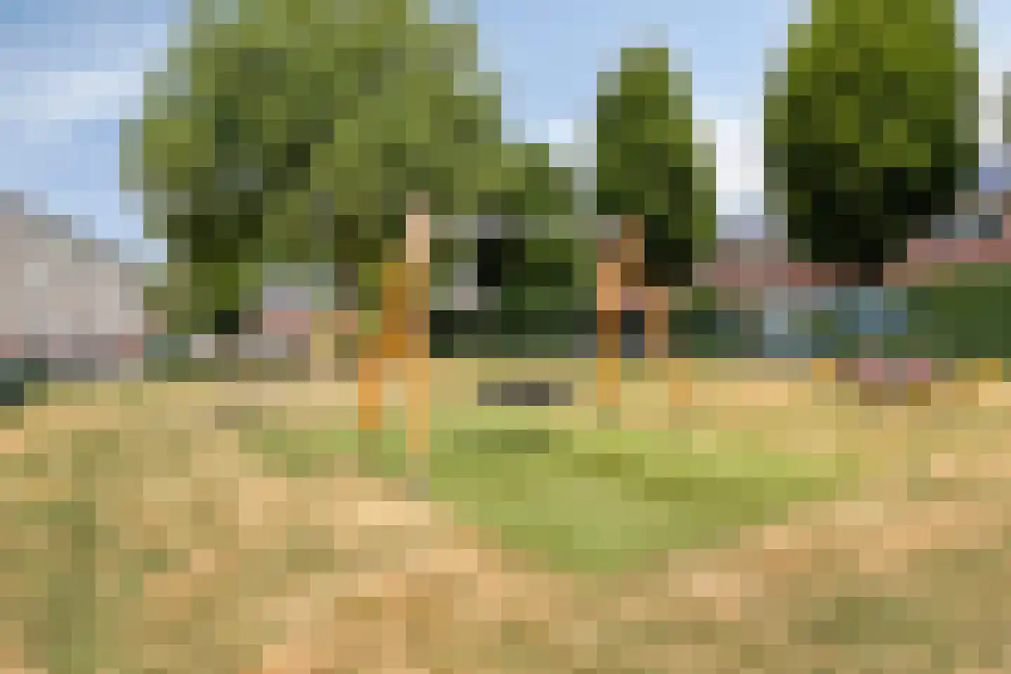 Vogelkersstraat 3 Valkenswaard thumbnail 29