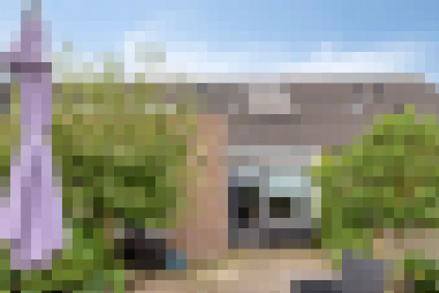 Vogelkersstraat 3 Wouwse Plantage thumbnail 25