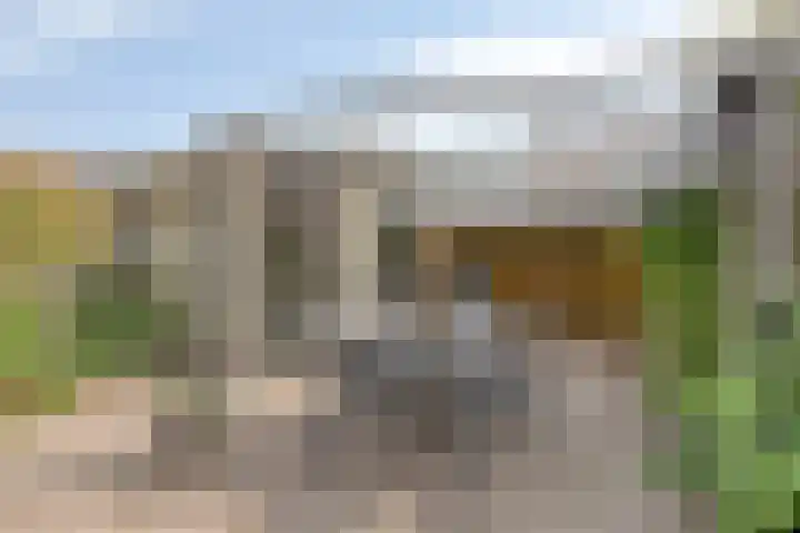 Vogelkersstraat 3 Wouwse Plantage thumbnail 27