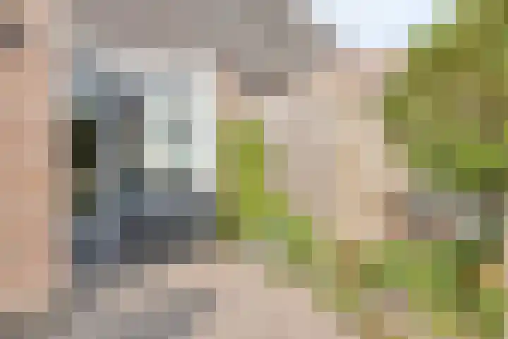 Vogelkersstraat 3 Wouwse Plantage thumbnail 29