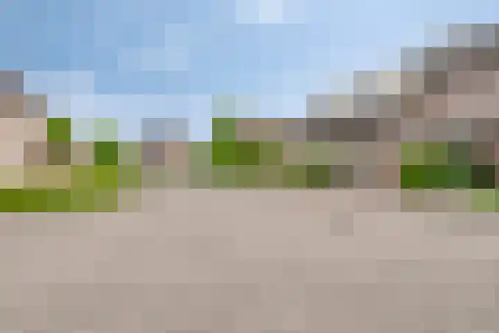 Vogelkersstraat 3 Wouwse Plantage thumbnail 34