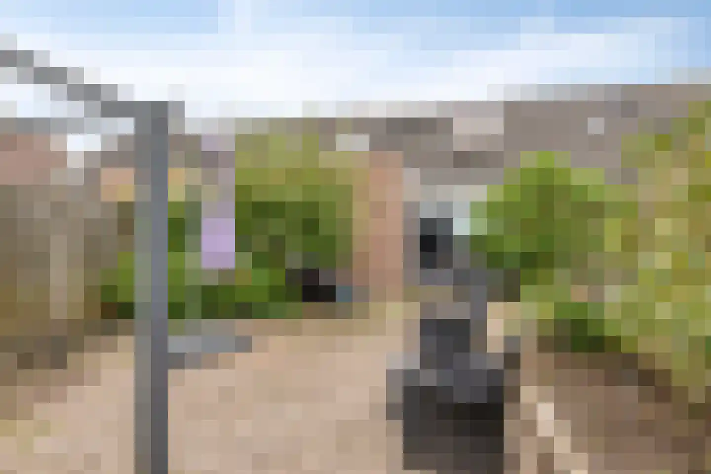 Vogelkersstraat 3 Wouwse Plantage thumbnail 4