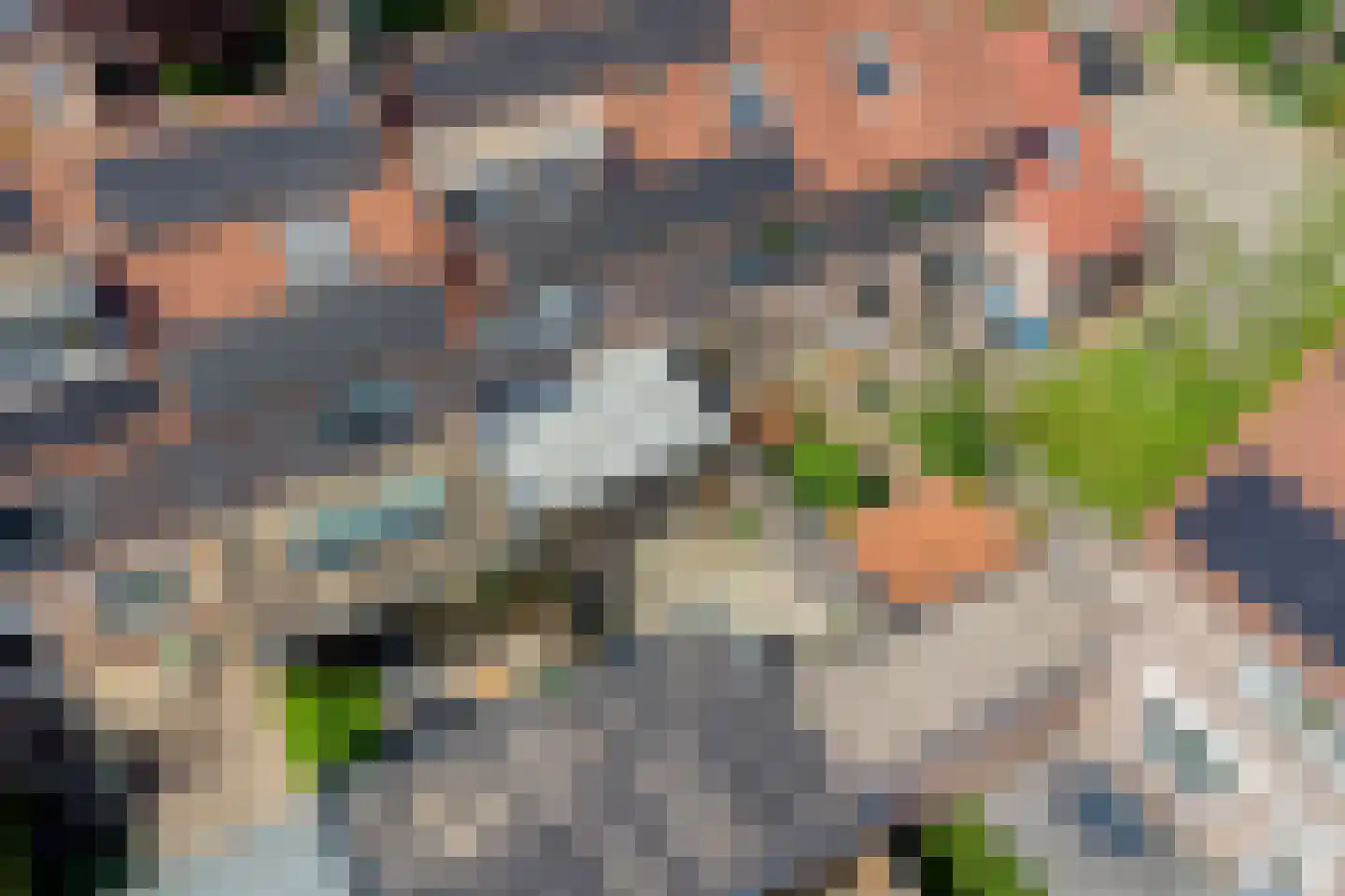 Vogelkersstraat 5 Lichtenvoorde thumbnail 27