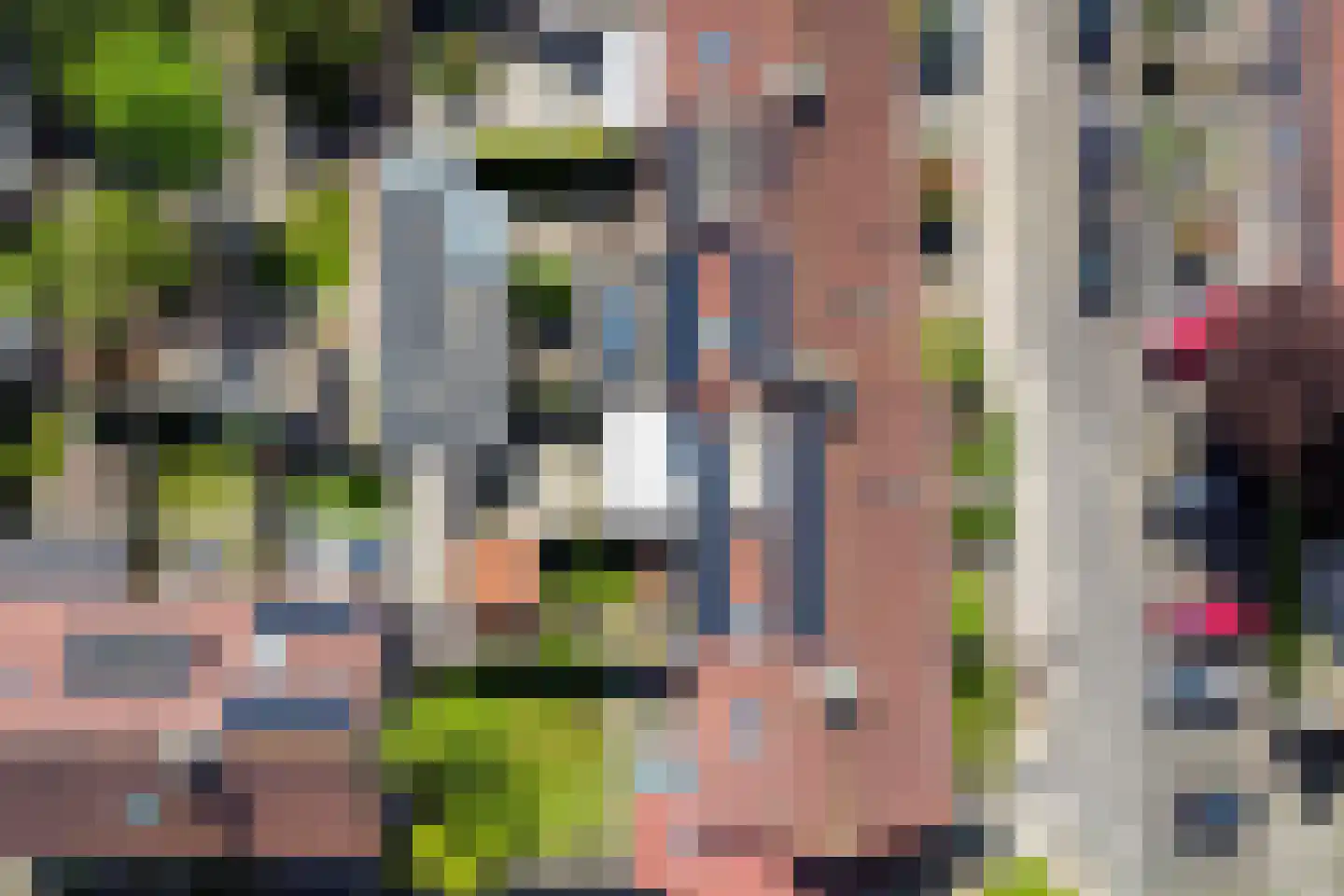 Vogelkersstraat 5 Lichtenvoorde thumbnail 30