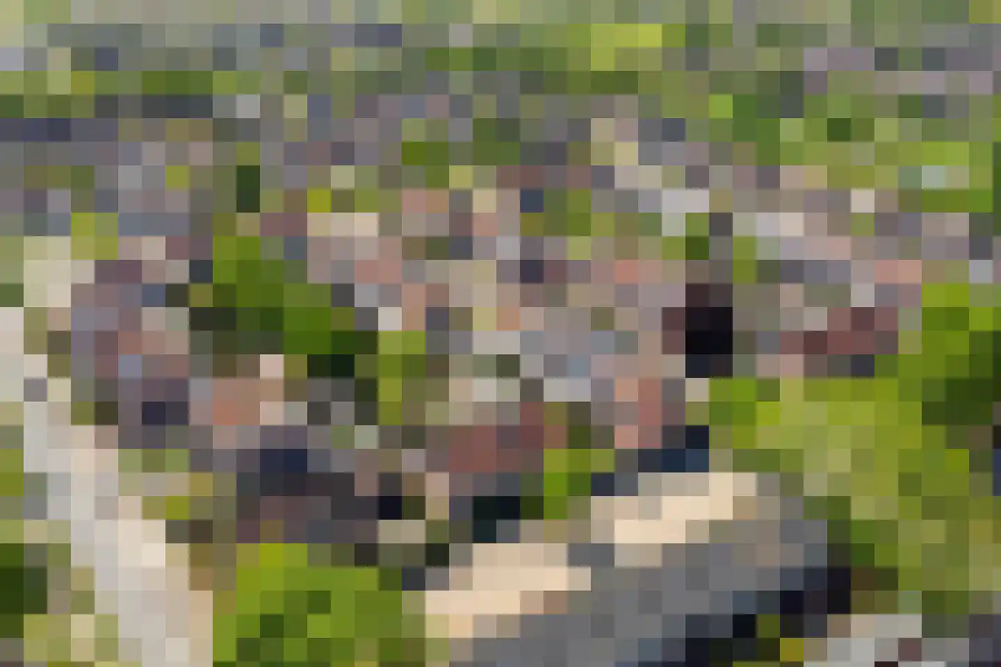 Vogelkersstraat 5 Lichtenvoorde thumbnail 33