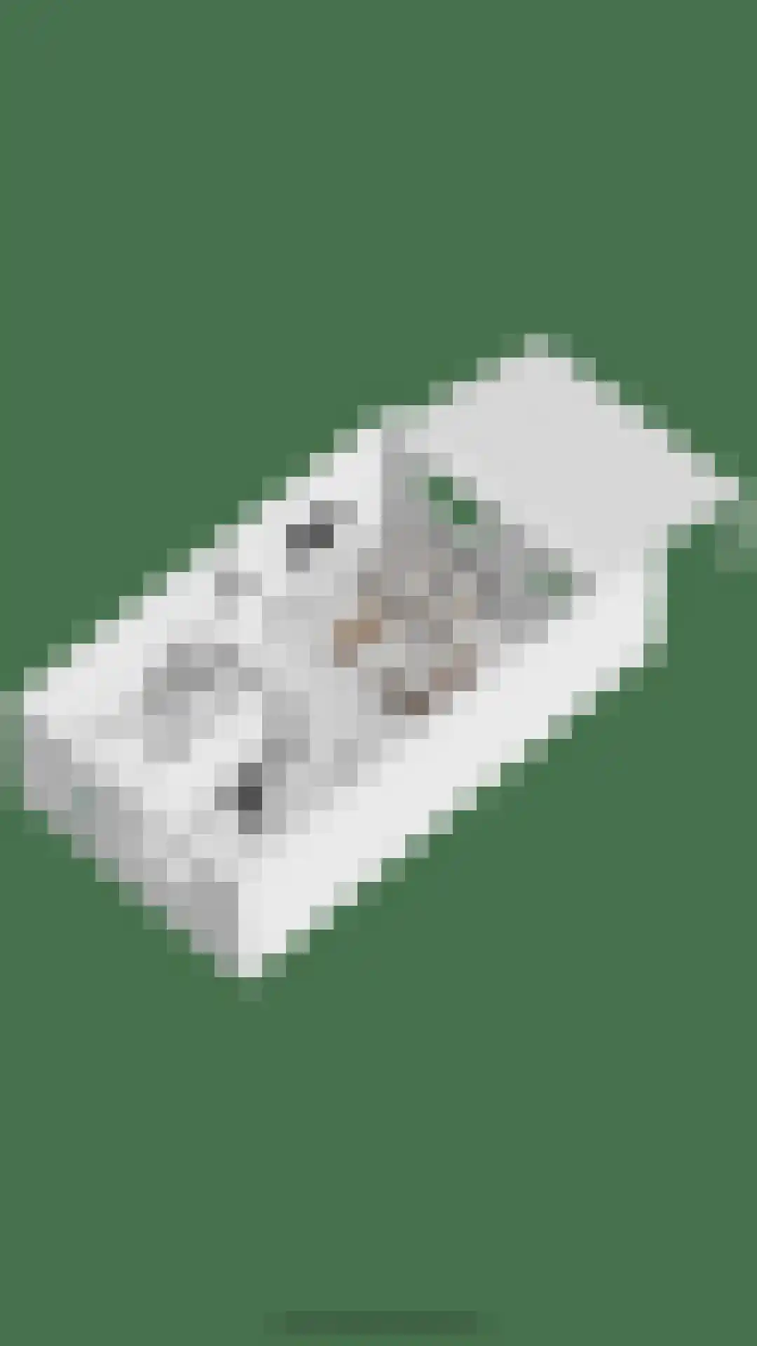 Vogelkersstraat 5 Lichtenvoorde thumbnail 36