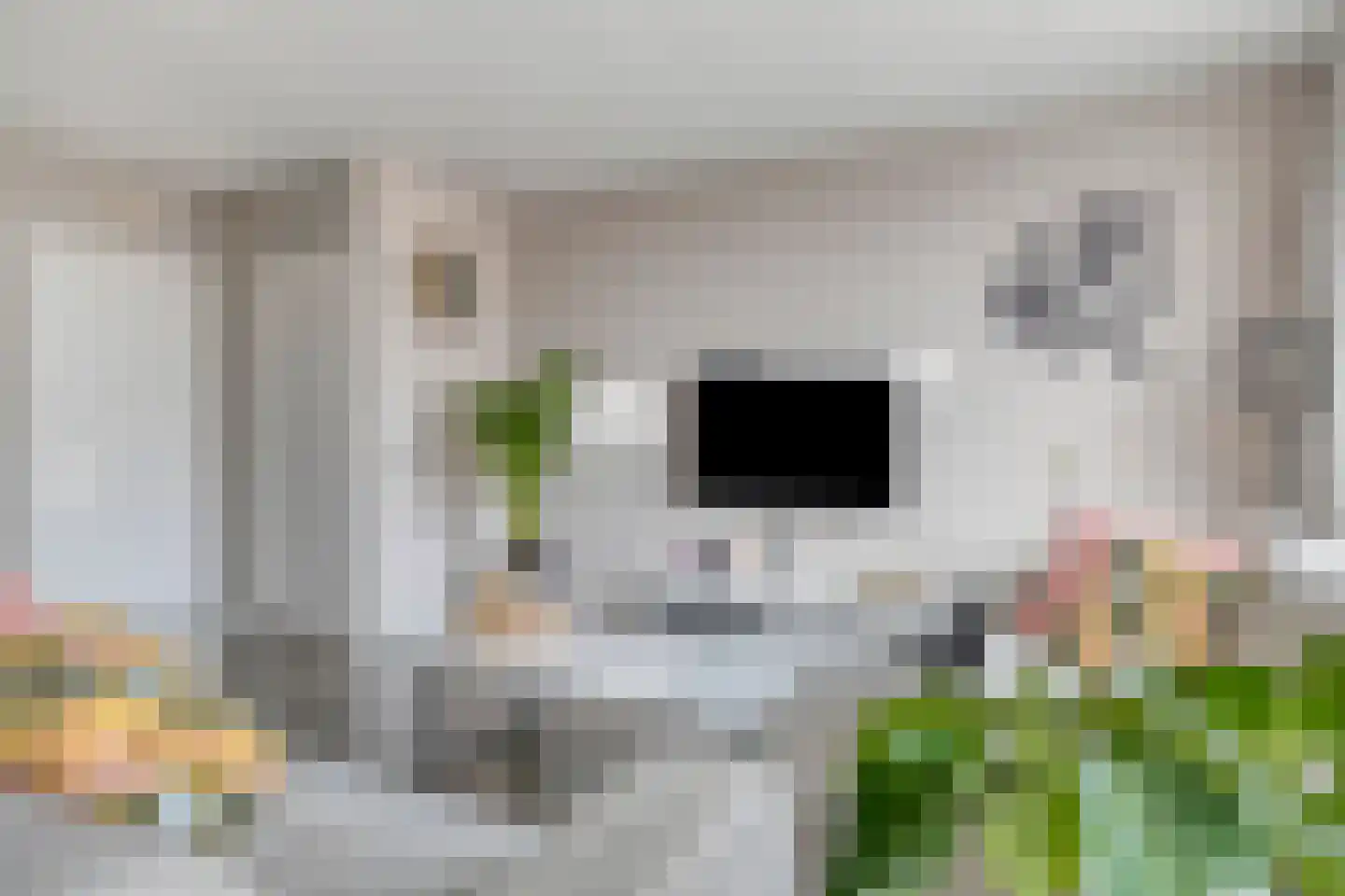 Vogelkersstraat 5 Lichtenvoorde thumbnail 5