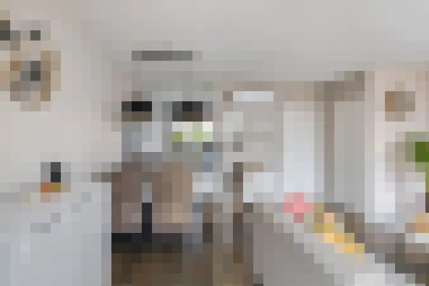 Vogelkersstraat 5 Lichtenvoorde thumbnail 6