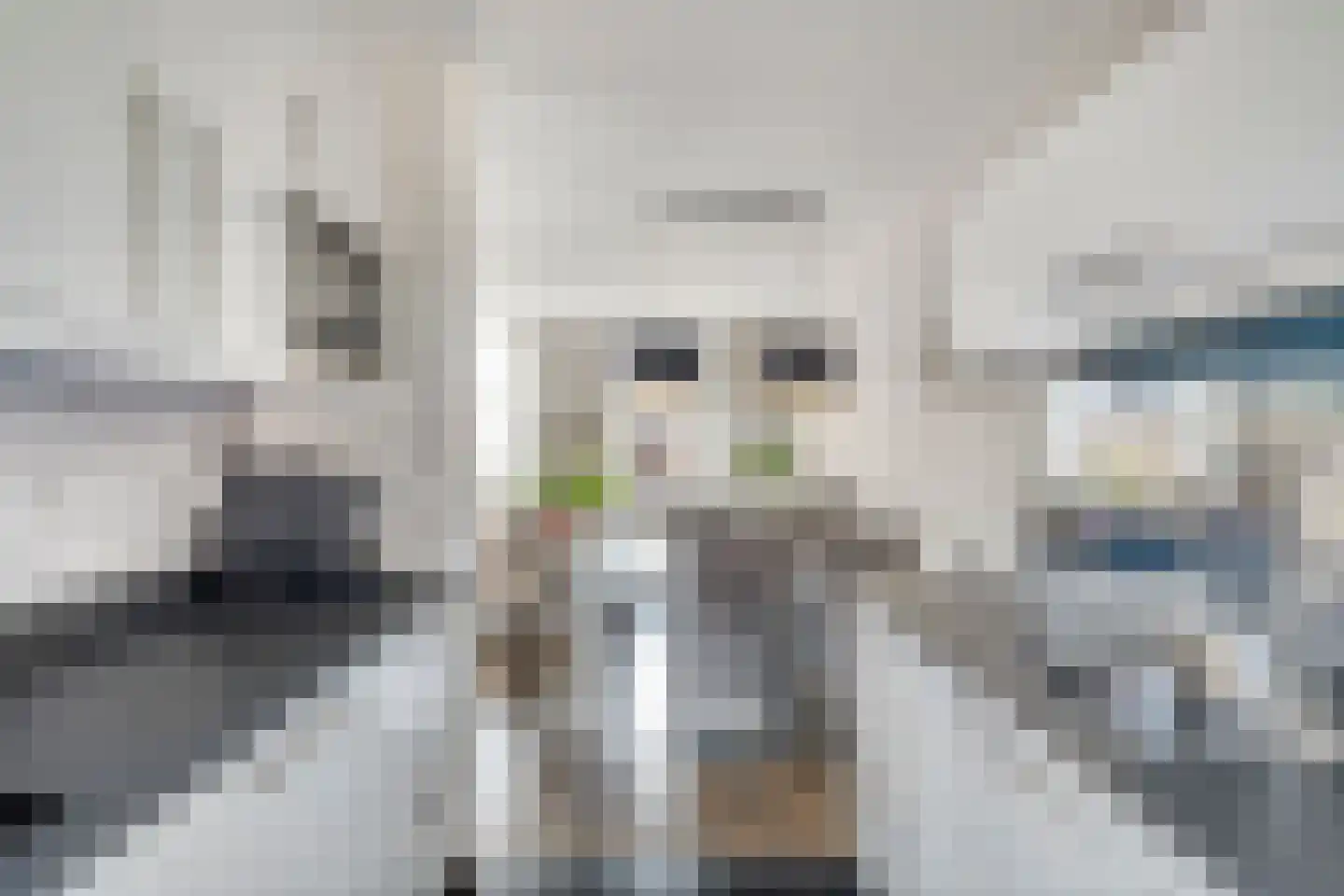 Vogelkersstraat 5 Lichtenvoorde thumbnail 9