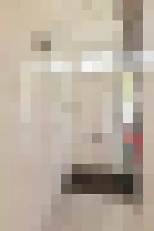 Vogelkersweg 13 Arnhem thumbnail 6