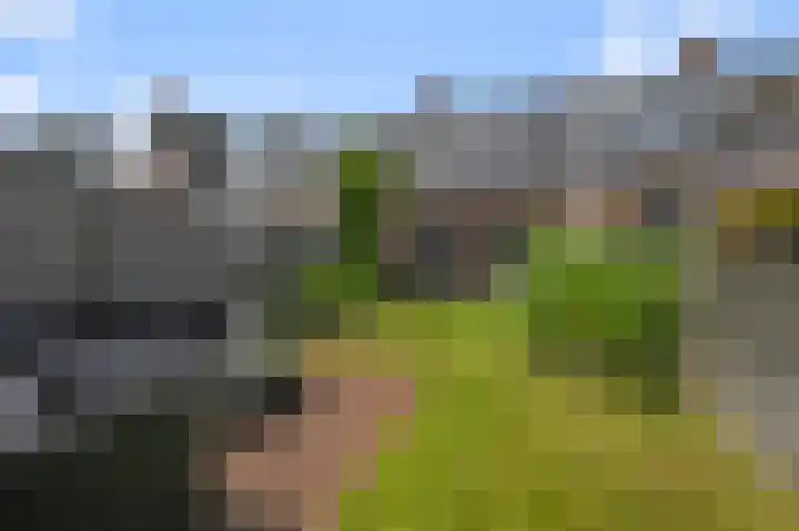Vogellaan 130 Uithoorn foto 2