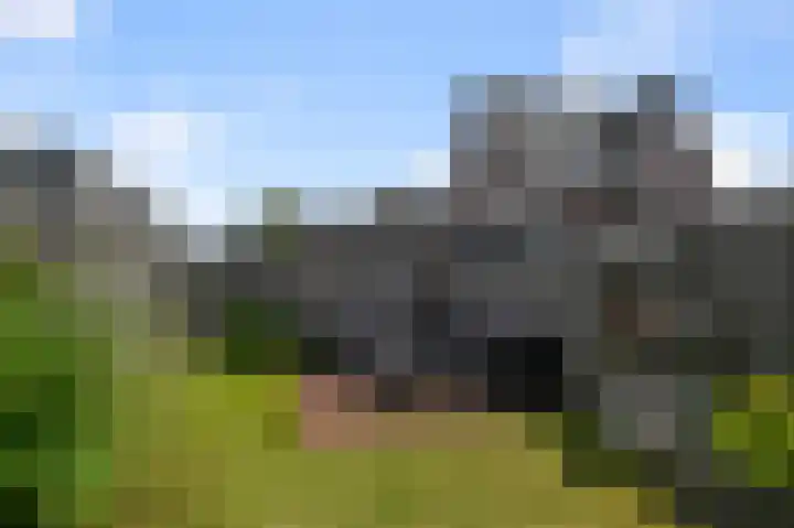 Vogellaan 130 Uithoorn thumbnail 26