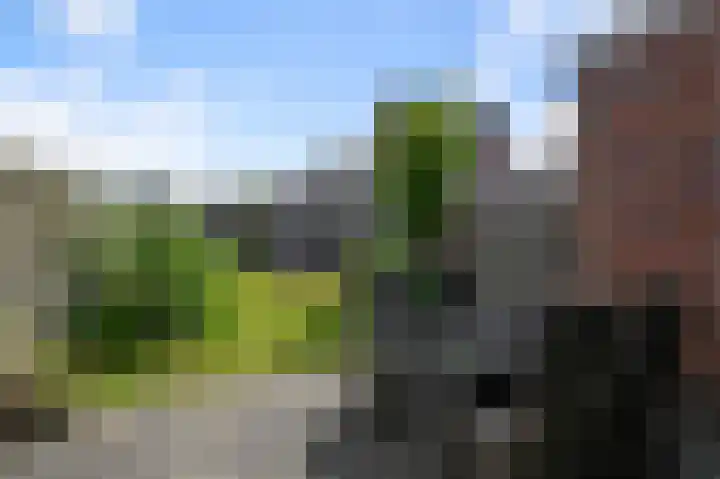 Vogellaan 130 Uithoorn thumbnail 29