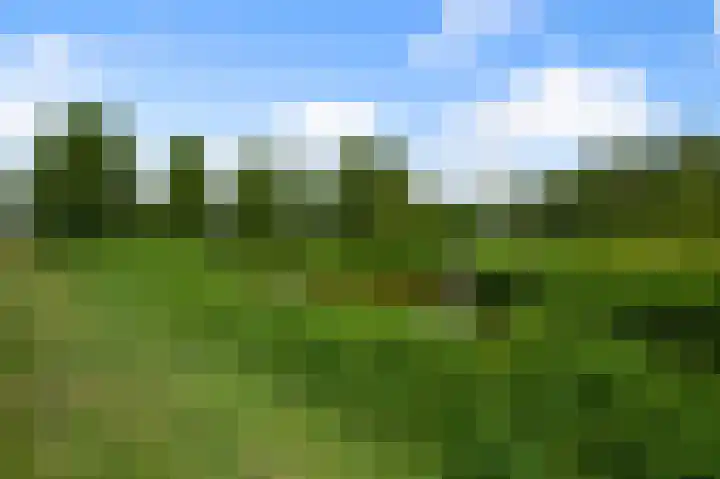 Vogellaan 130 Uithoorn thumbnail 33