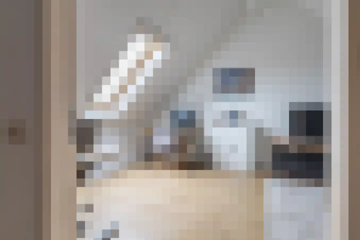 Vogellaan 14 a Terneuzen thumbnail 13