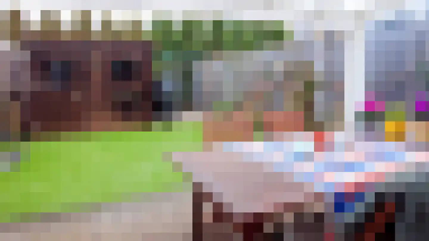 Vogellaan 14 a Terneuzen thumbnail 25
