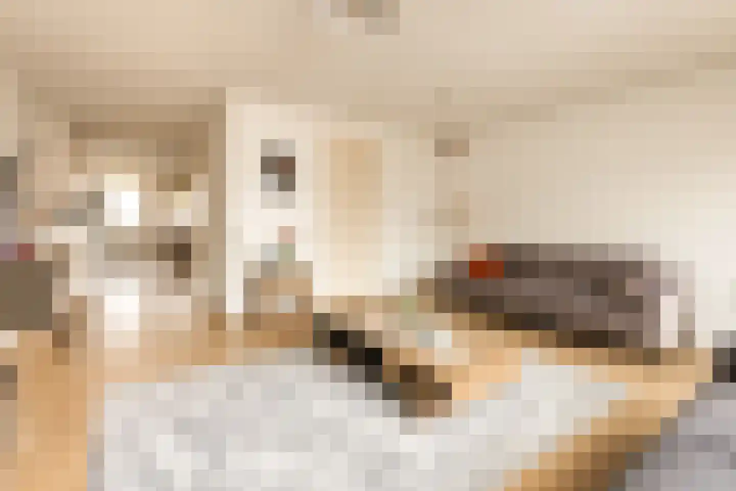 Vogellaan 14 a Terneuzen thumbnail 6