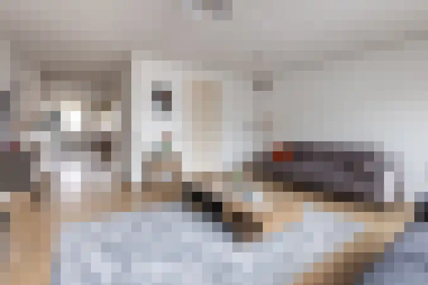 Vogellaan 14 a Terneuzen thumbnail 7