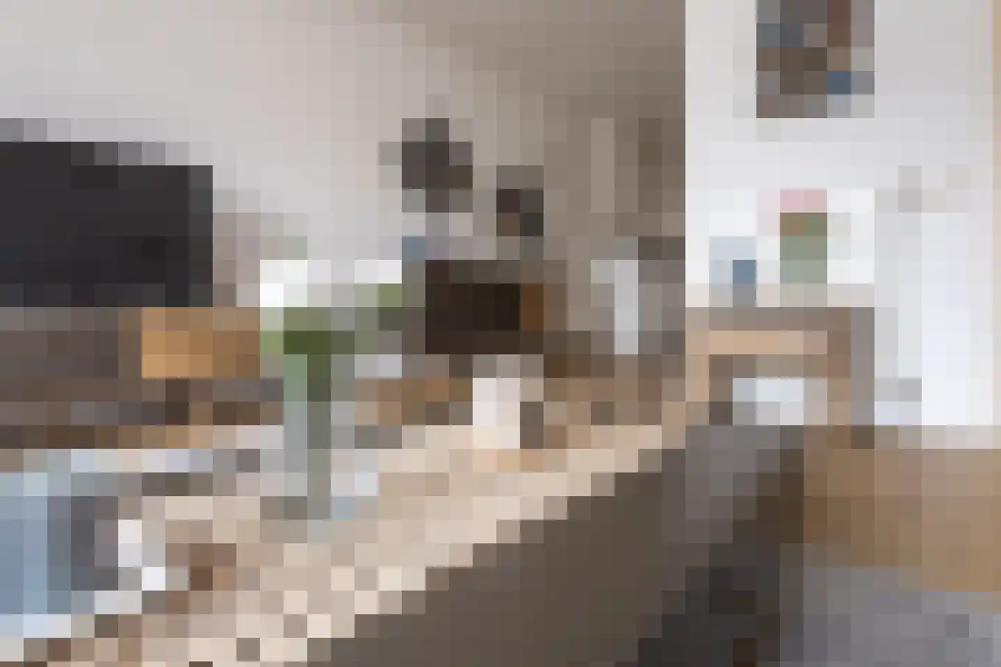 Vogellaan 14 a Terneuzen thumbnail 9