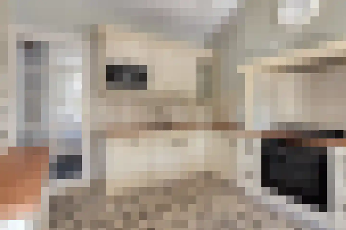 Vogellaan 2 Terneuzen thumbnail 16