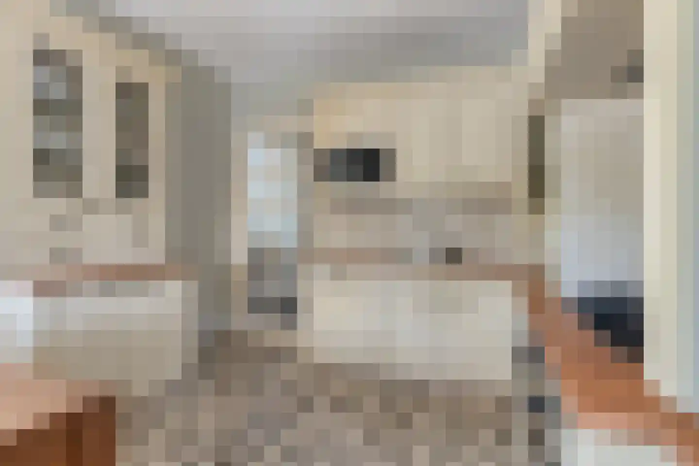 Vogellaan 2 Terneuzen thumbnail 17