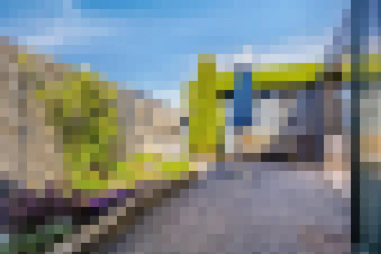 Vogellaan 2 Terneuzen thumbnail 35