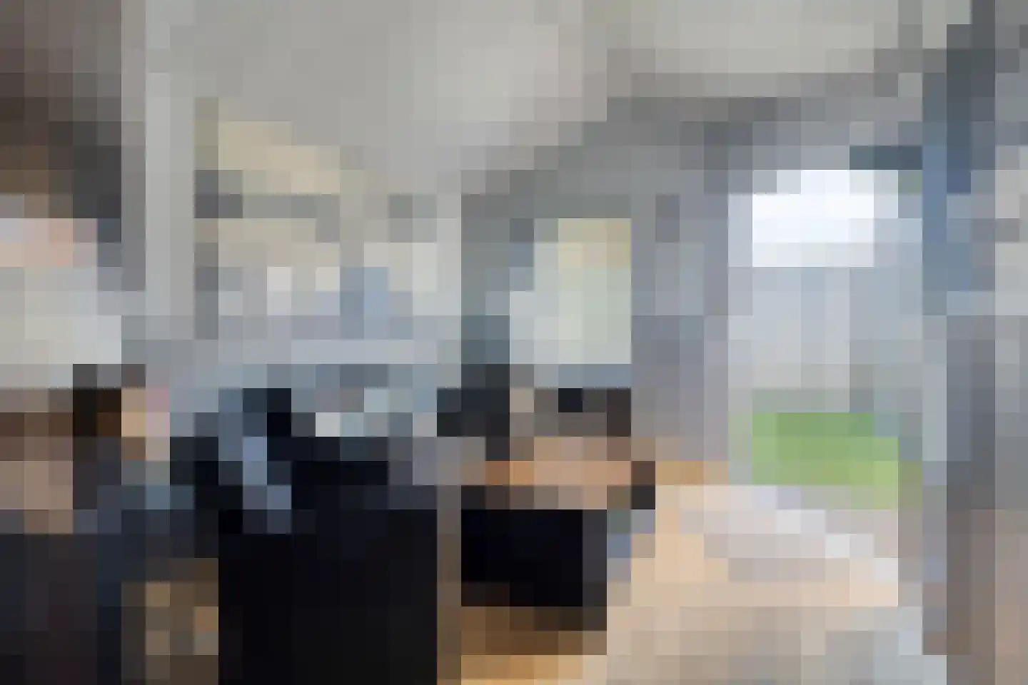 Vogellaan 2 Terneuzen thumbnail 39