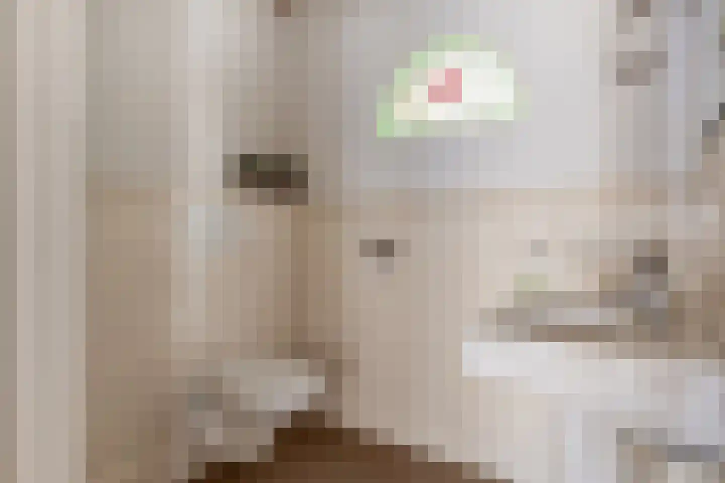 Vogellaan 2 Terneuzen thumbnail 5