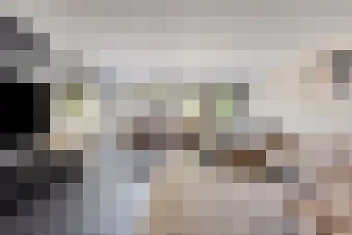 Vogellaan 20 Terneuzen thumbnail 10