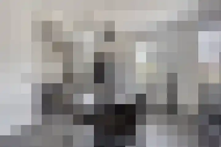 Vogellaan 20 Terneuzen thumbnail 13